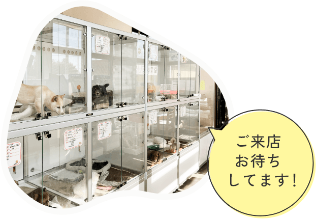 ご来店お待ちしてます!
