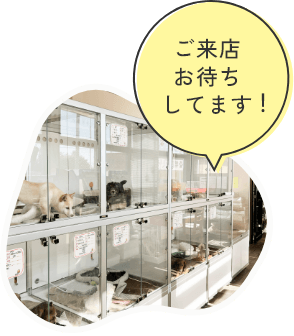 ご来店お待ちしてます!
