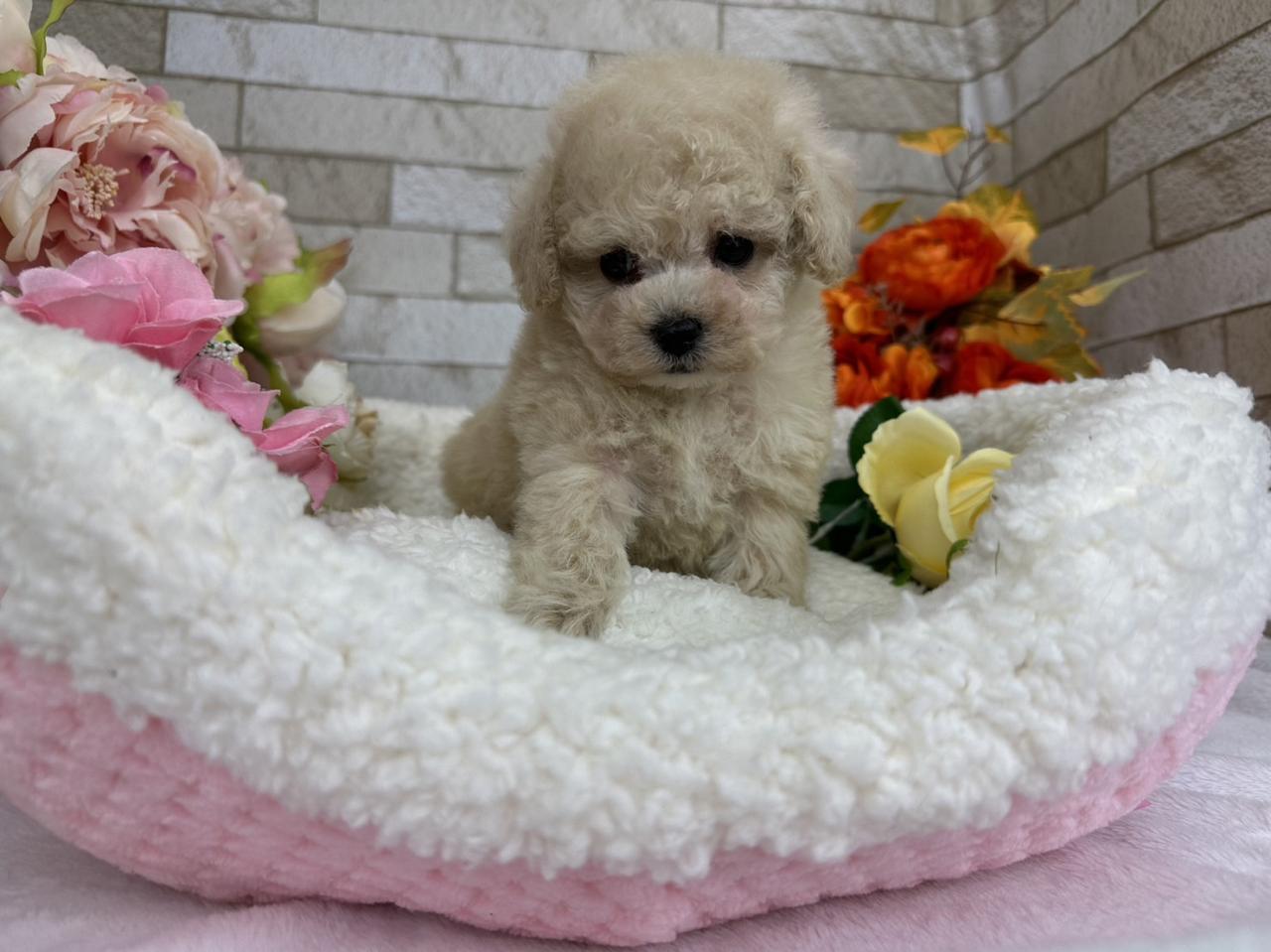 S__3539030.jpg