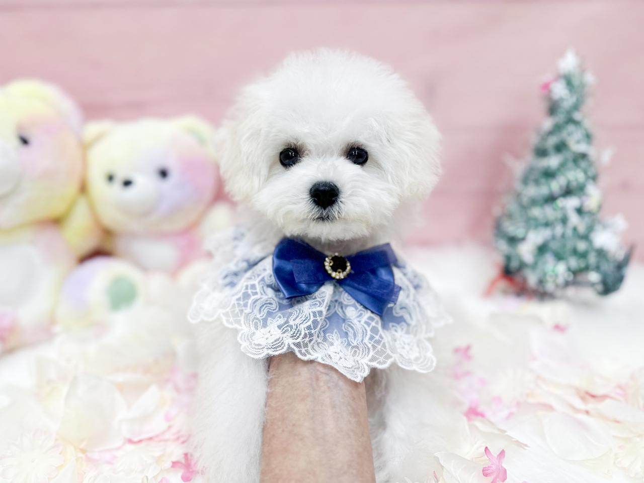 98017A8D-F7B0-4C39-92E5-8A43FB80010C_0.jpg